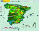 Información geográfica SEO